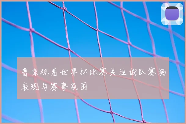 普京观看世界杯比赛关注俄队赛场表现与赛事氛围