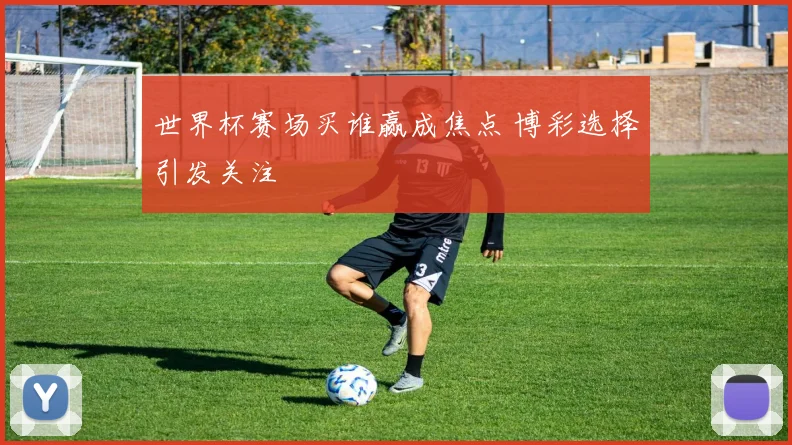 世界杯赛场买谁赢成焦点 博彩选择引发关注