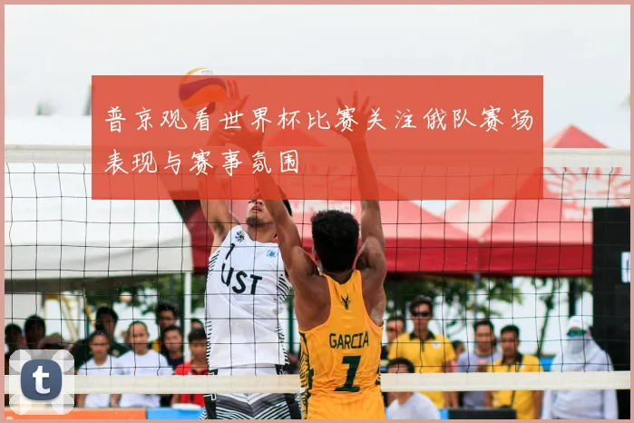 普京观看世界杯比赛关注俄队赛场表现与赛事氛围