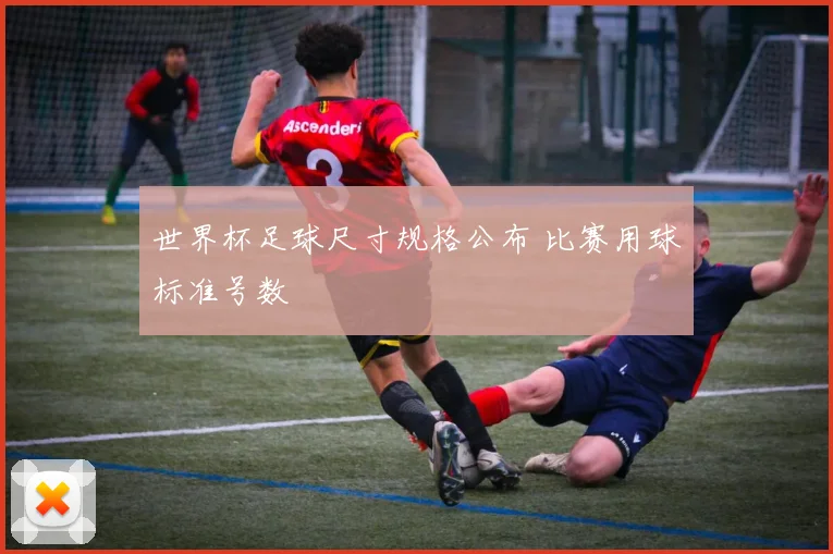 世界杯足球尺寸规格公布 比赛用球标准号数